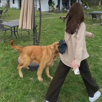 粗鲁与陈腐
